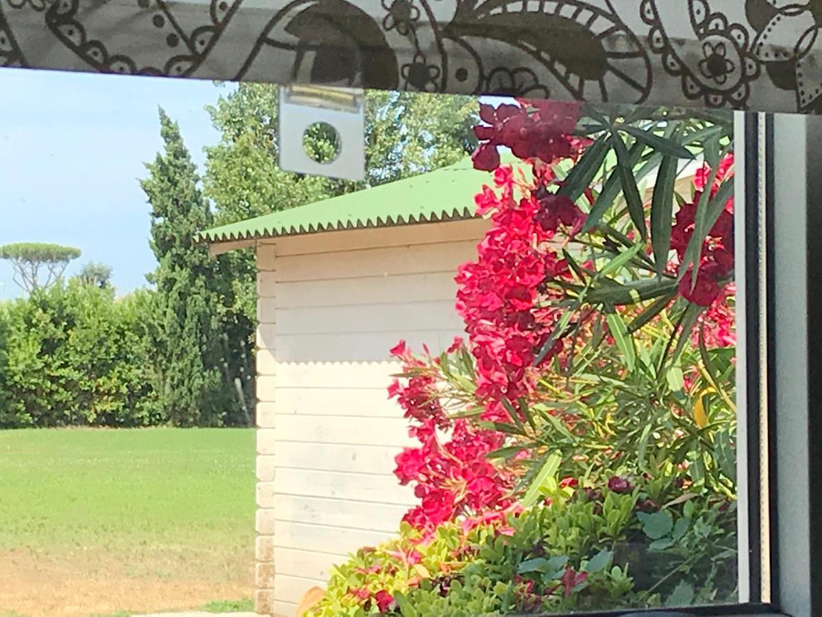 Podere Venanzio Lido di Camaiore Zewnętrze zdjęcie